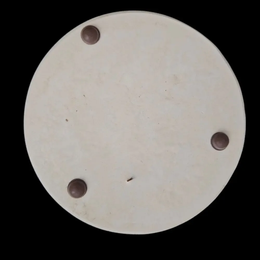 Vintage Resin Seed Trivet Round Wood Grain Kitchen Hot Plate